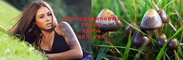 ГАЛЛЮЦИНОГЕННЫЕ ГРИБЫ Богородицк