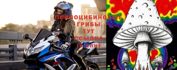 ГАЛЛЮЦИНОГЕННЫЕ ГРИБЫ Богородицк