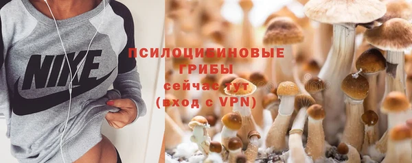 ГАЛЛЮЦИНОГЕННЫЕ ГРИБЫ Богородицк