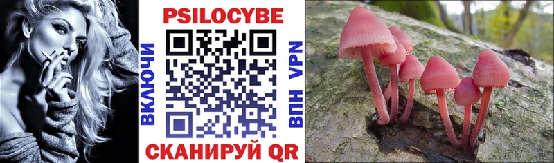 mega как зайти  Кораблино  Галлюциногенные грибы Psilocybine cubensis 
